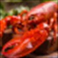 Crustaceans
